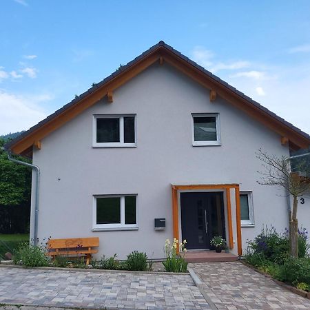 FeWo am Neckarsteig mit Anbindung an Heidelberg Neckarsteinach Exterior foto